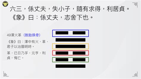 隨卦|隨卦（澤雷隨）易經第十七卦（兌上震下）詳細解說